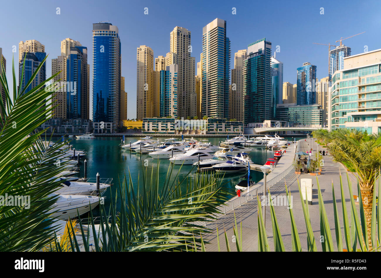 I UAE Dubai, Dubai Marina Foto Stock