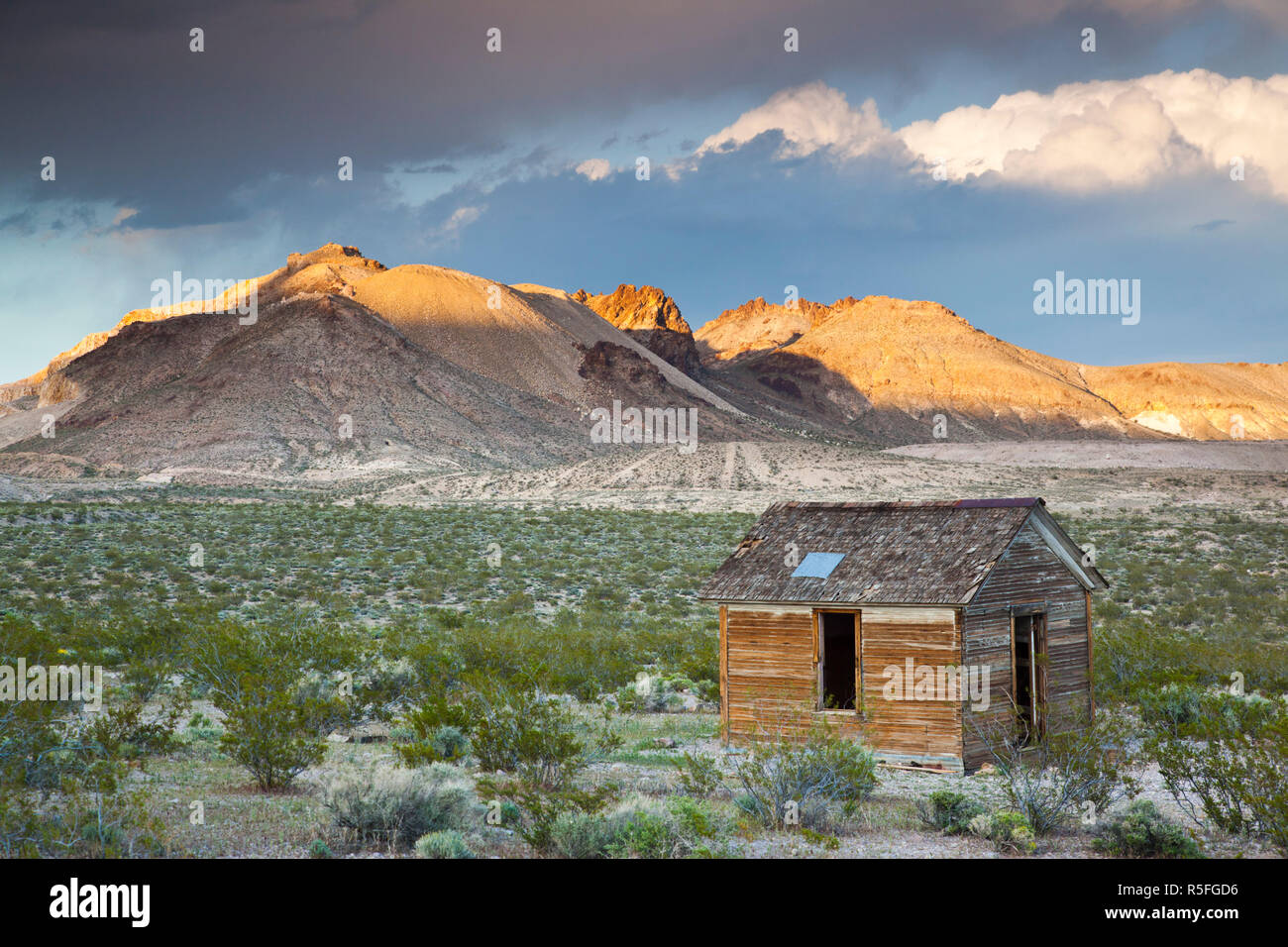 Stati Uniti d'America, Nevada, Grande Bacino, Beatty, riolite città fantasma Foto Stock