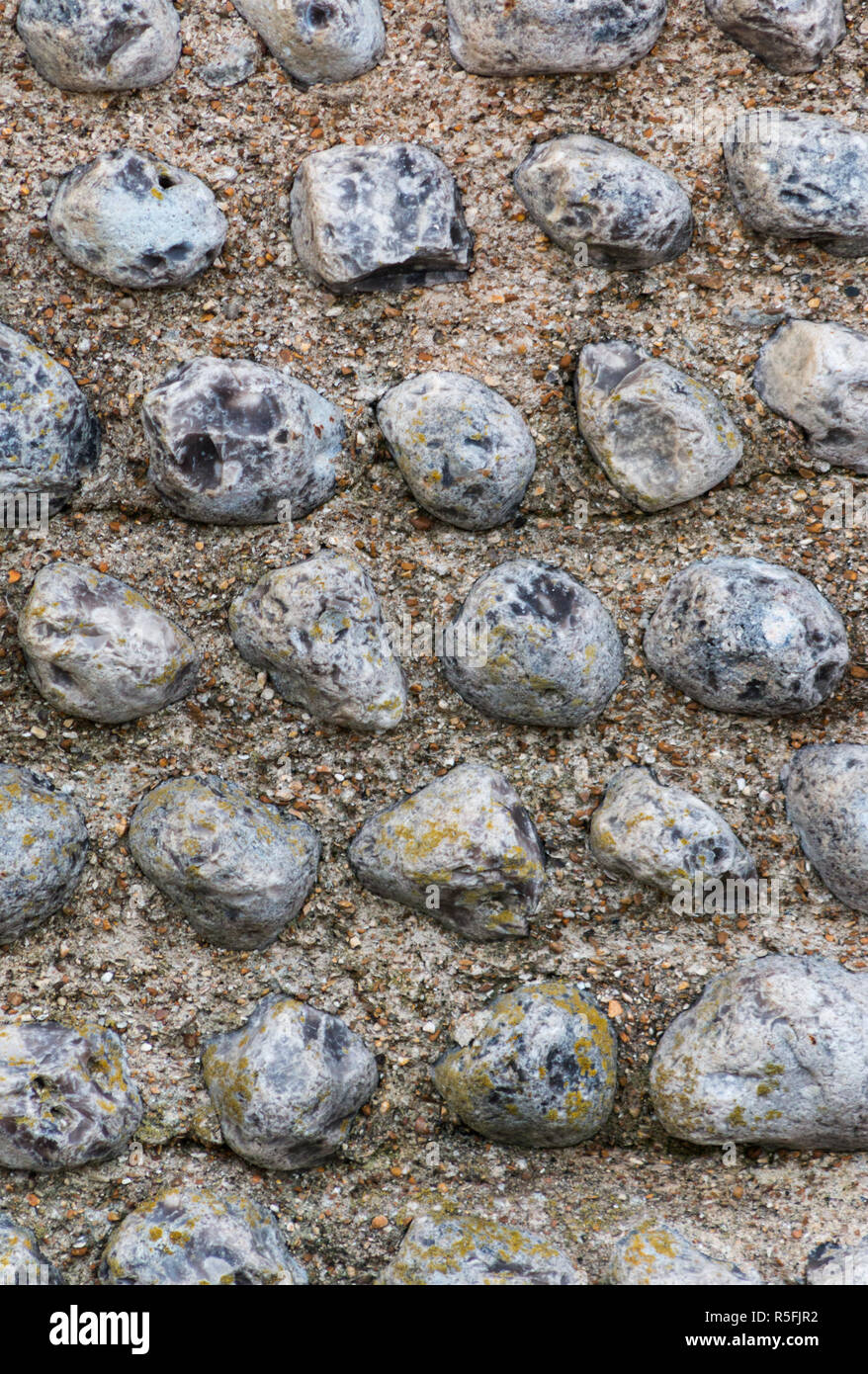In prossimità di una sezione di un unknapped pietra focaia parete in West Sussex Foto Stock