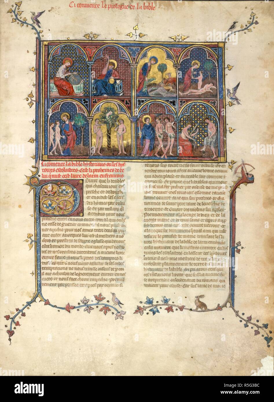 Miniatura diviso in otto arcate raffiguranti scene di Genesi: in cima quattro Dio divide la terra con bussole; rende il sole con un martello; si piega verso il basso per mettere un grande pesce in mare come varie bestie cercare su; e disegna Eva dalla costola di Adamo dormiente. In basso scene egli mostra la struttura ad albero della conoscenza; il serpente incoraggia Adamo ed Eva a mangiare il frutto; un angelo con una spada di unità di Adamo ed Eva, dal giardino; e la scena finale Adam utilizza una vanga, Eve gira con un mandrino; decorate iniziale 'P'(source), e parziale delle frontiere. La Bibbia Historiale, prima parte (Genesis-Maccabees). Foto Stock