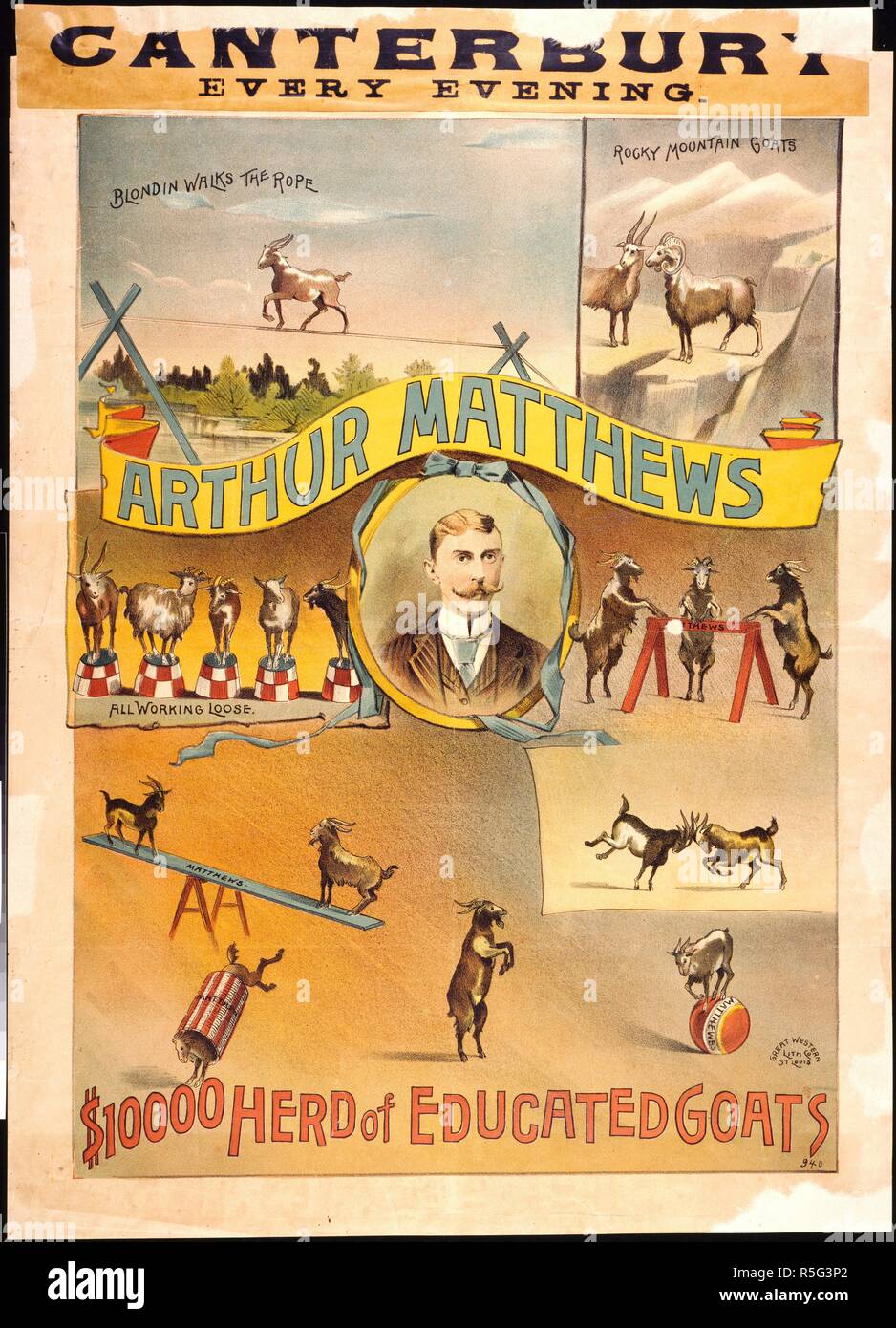 Canterbury Music Hall, Lambeth, 1889. Arthur Matthews, $10000 Allevamento di capre istruiti. Blondin passeggiate la fune. Rocky Mountain capre. Tutti allentata. Una collezione di opuscoli da locandine e stampati vari in materia di intrattenimento in stile vittoriano e la vita di tutti i giorni. Great Western Lith. Co. San Luigi, 1889. Animali, formazione di; capre. Fonte: Evan.187. Autore: Evanion, Henry. Foto Stock