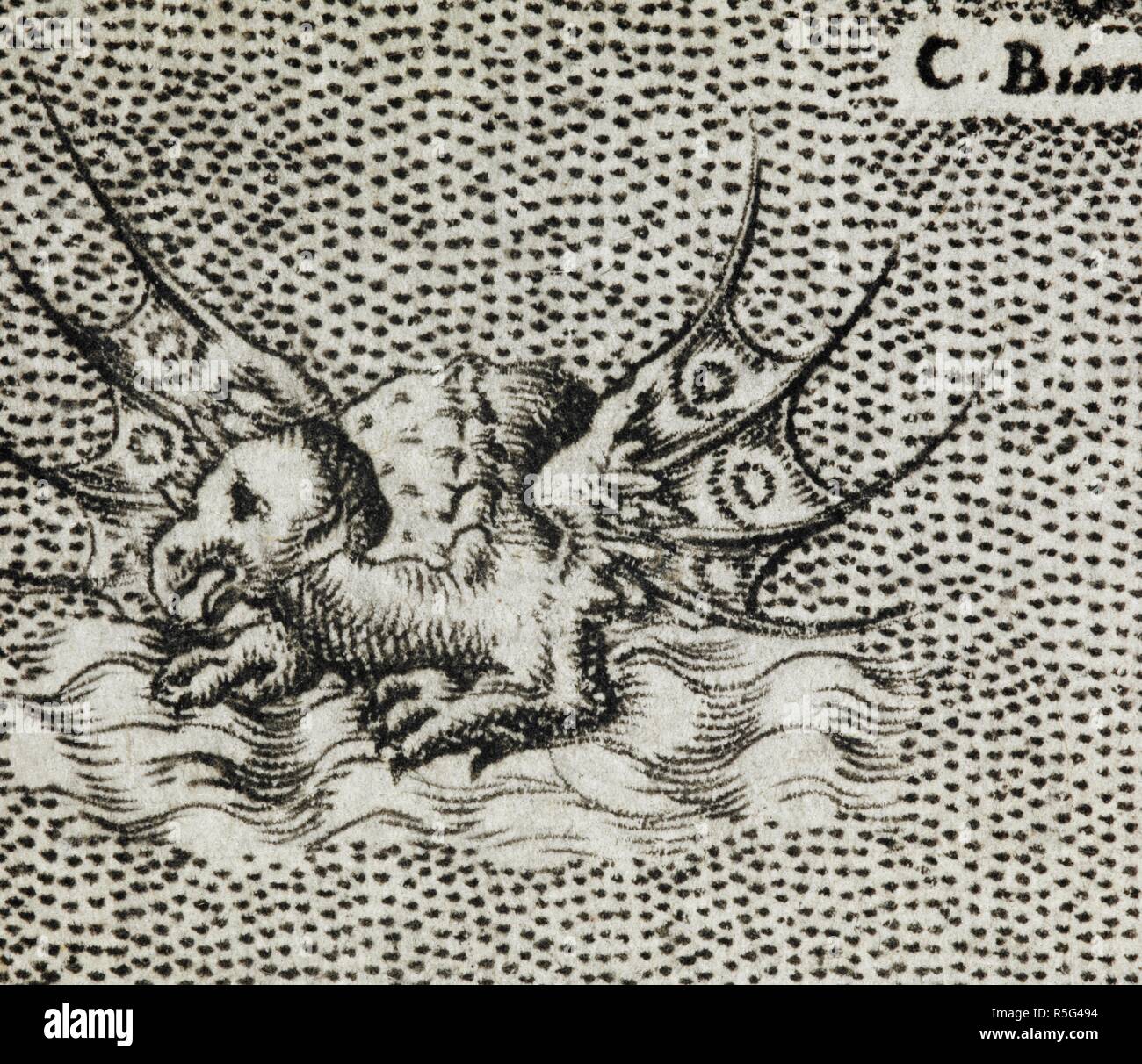 Dettaglio di una spettacolare mare alato drago. L'lsole piuÌ€ famose del mondo, descritte da Thomaso Porcacchi da Castiglione Arretino e intagliate da Girolamo Porro Padovano. 1576. Fonte: G.7223, pagina 144. Foto Stock