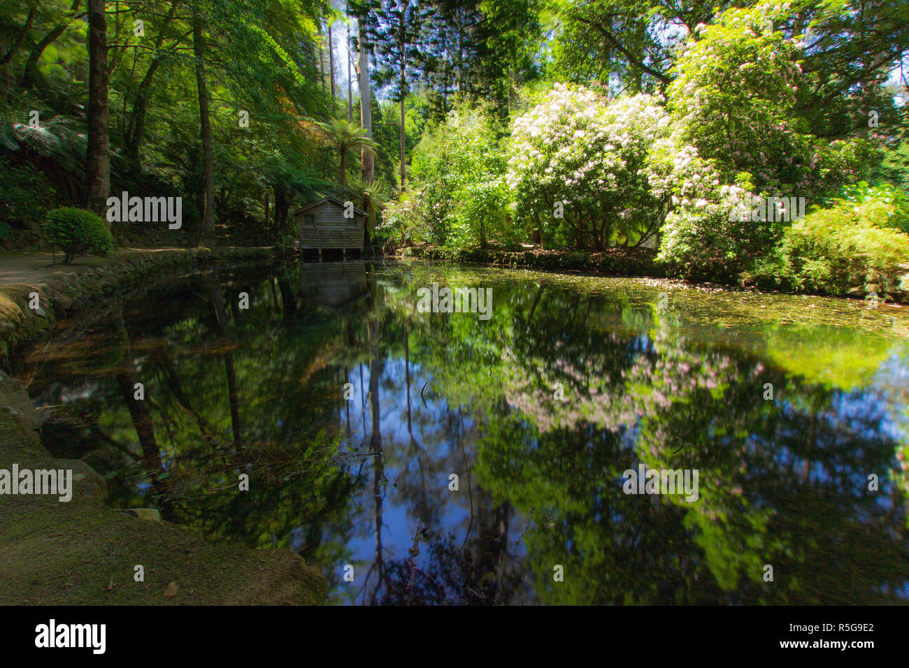 Alfred nicholas gardens dandenongs Foto Stock