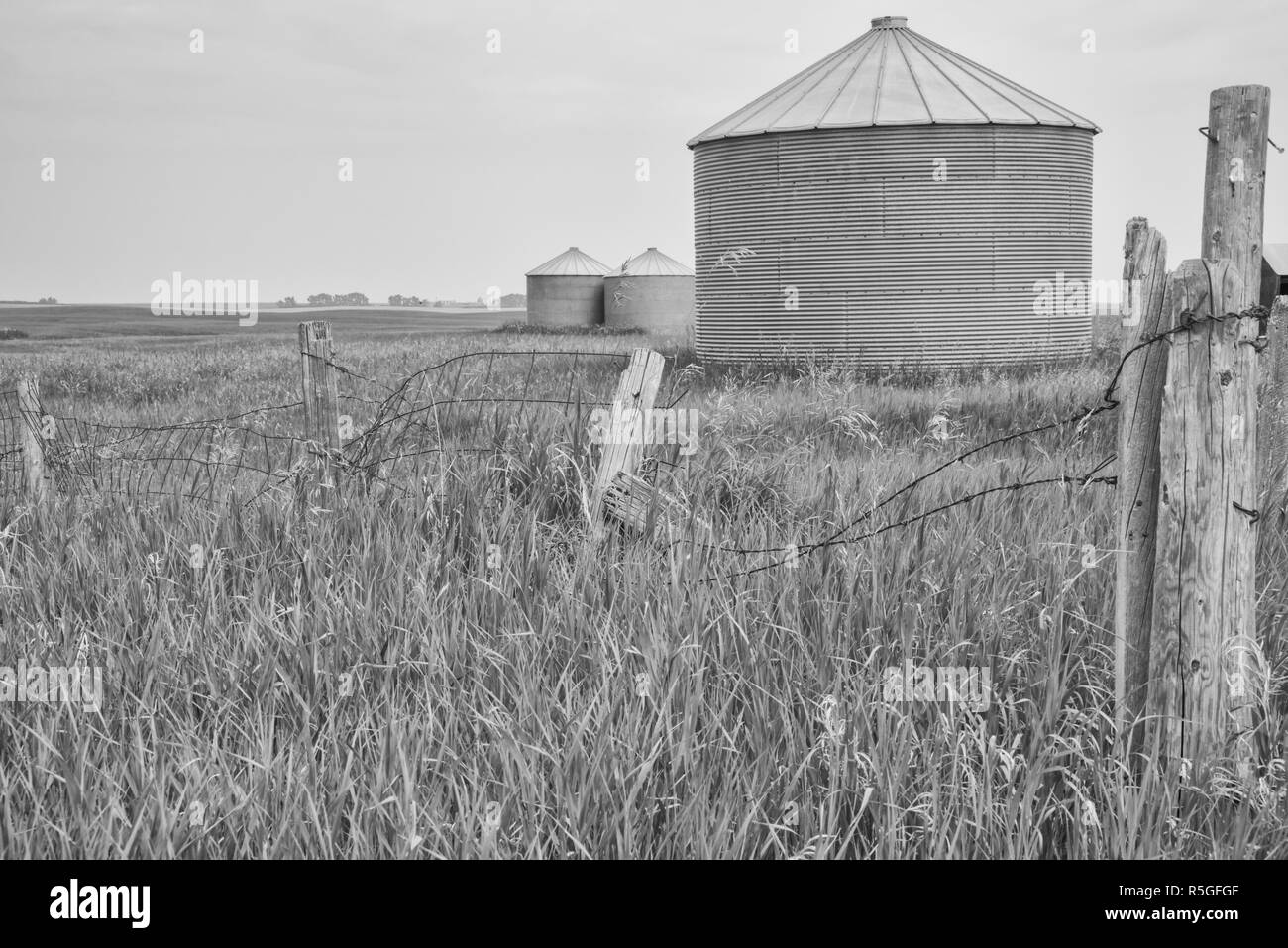 Monocromatico silo di grano paesaggio Foto Stock