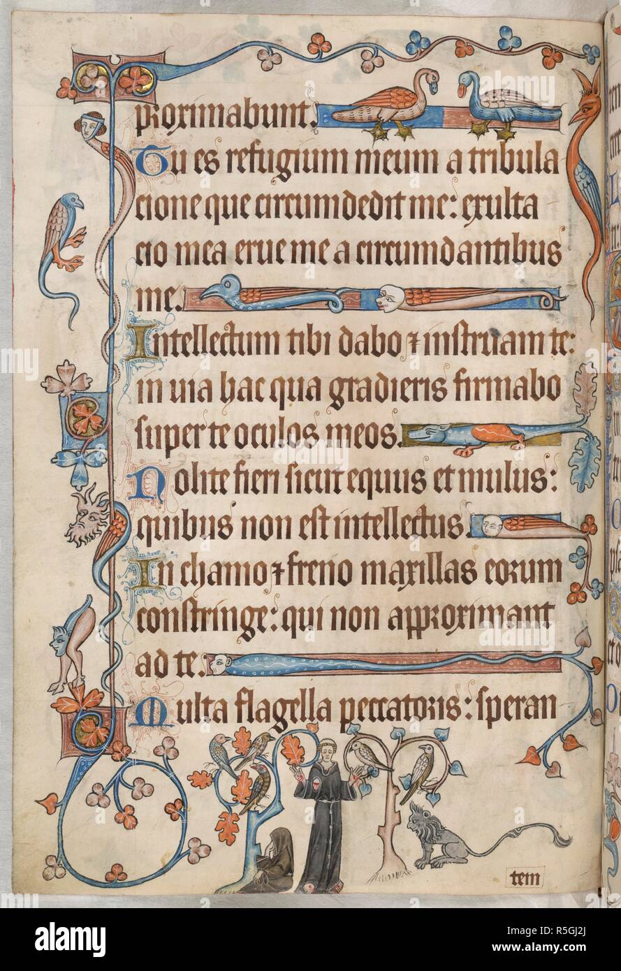 San Francesco che predica. Luttrell Salterio. Inghilterra [East Anglia]; circa 1325-1335. [Intero folio] Salmo 31. Decorazione di confine con grottesche e due cigni affacciate. Margine inferiore; San Francesco, in abito nero e mostra le stimmate, predica a cinque uccelli appollaiato su due alberi. Seduto su entrambi i lati del santo sono il Fratello Leo e grigio di un leone con una lunga coda immagine presa dal Luttrell Salterio. Originariamente pubblicato/prodotto in Inghilterra [East Anglia]; circa 1325-1335. . Fonte: Aggiungi. 42130, f.60v. Lingue: Latina. Foto Stock
