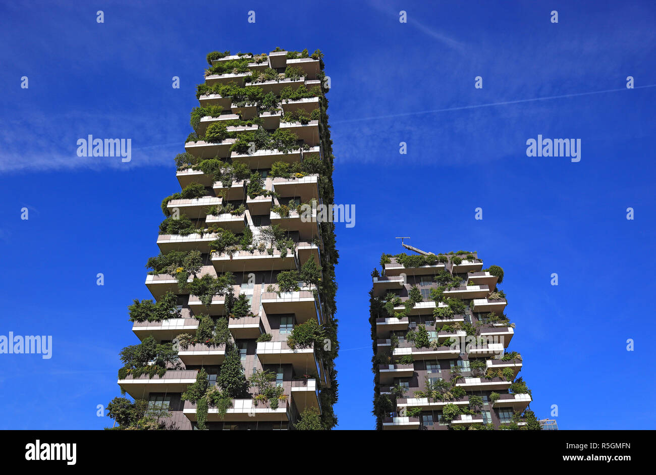 Bosco Verticale, Twin Towers, serre con alberi e arbusti, Milano, Lombardia, Italia Foto Stock