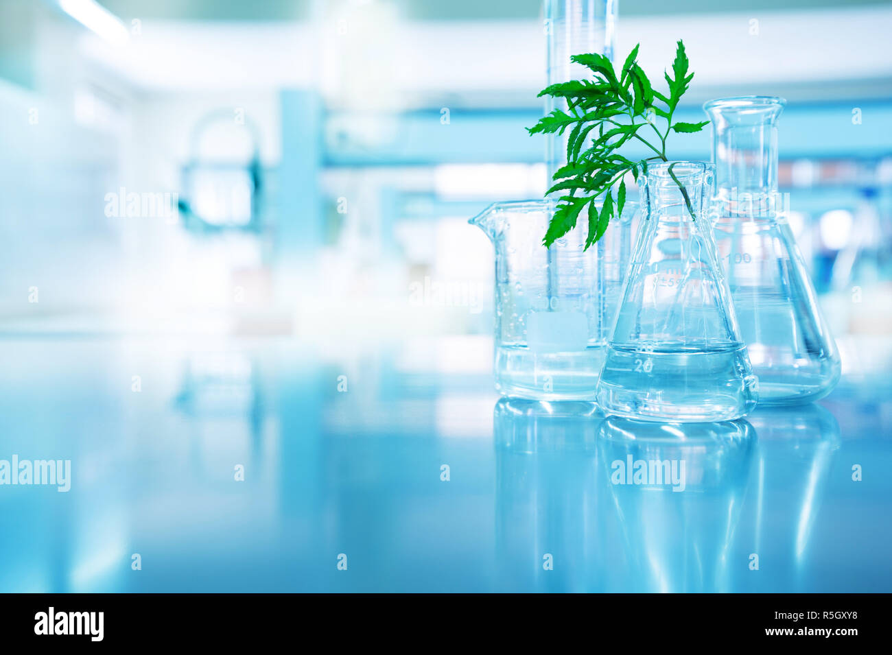 Lasciare verde in biotecnologia scienza ricerca laboratorio con pallone becher cilindro e acqua in blu sullo sfondo della tecnologia Foto Stock