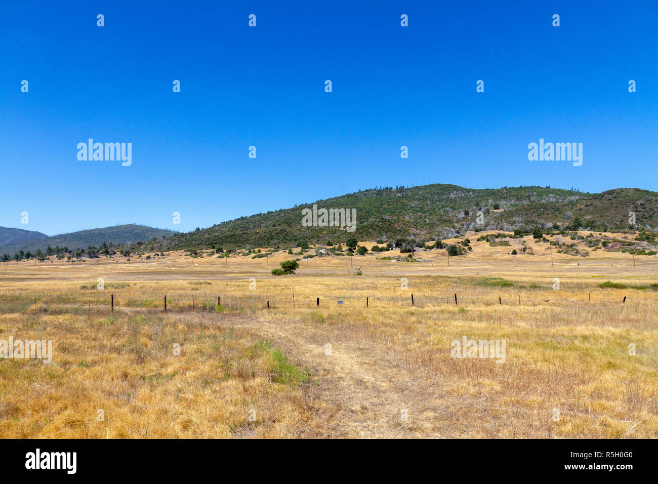 Vista dalla contea Rte S1 circa a sud verso il picco Cuyamaca e Cuyamaca Rancho stato parco nei pressi di Julian, California, Stati Uniti. Foto Stock