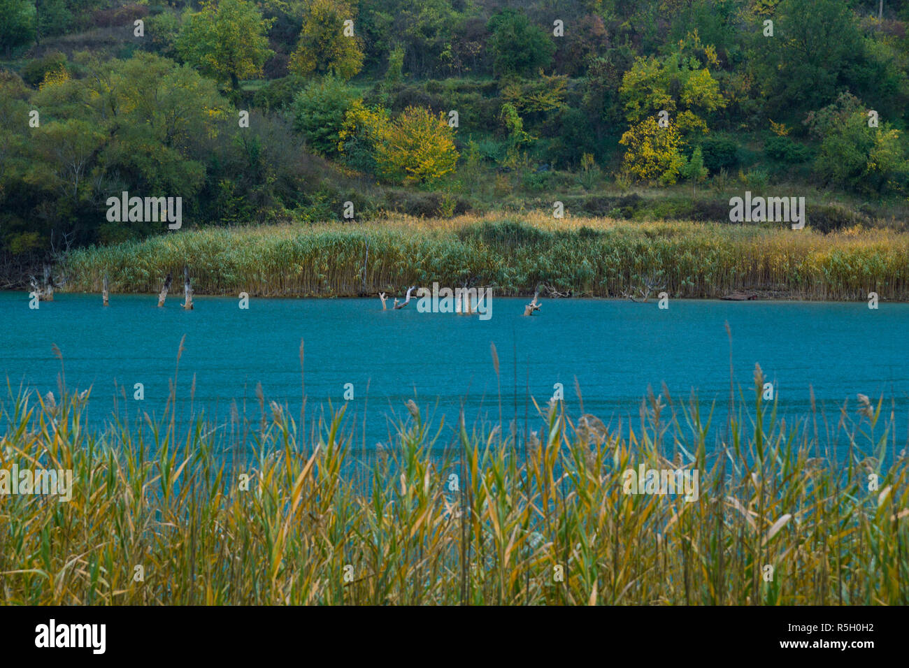 Il lago di Tsivlos in Grecia con rami e tronchi provenienti dall'acqua Foto Stock