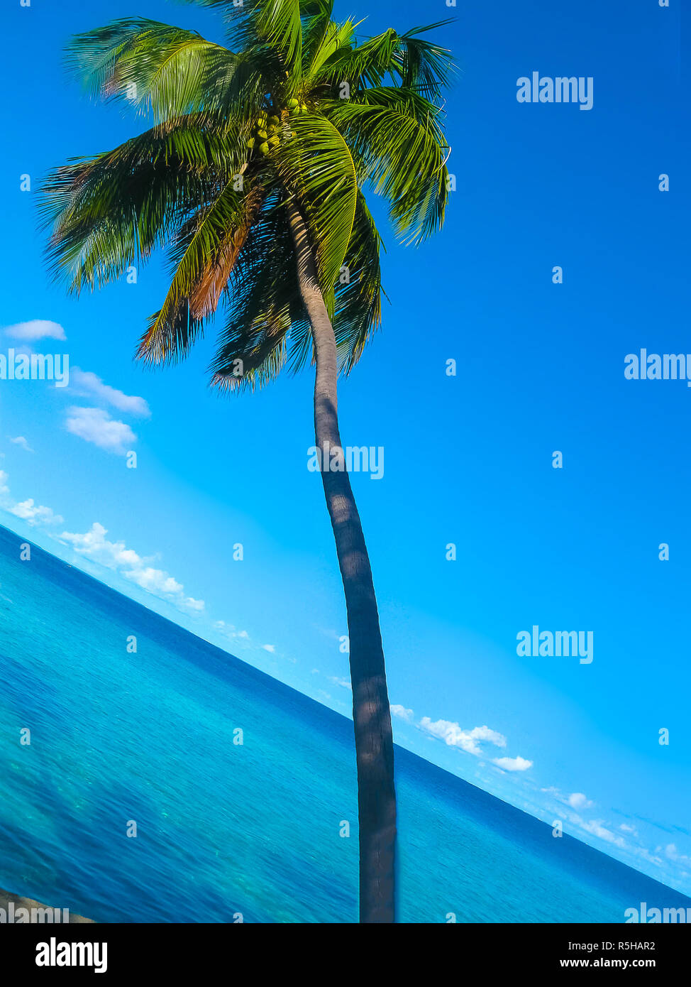 Villaggio Embudu Island, Maledives, Oceano Indiano Foto Stock