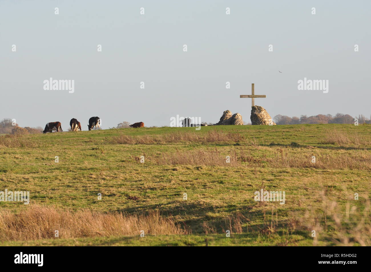 L' Abbazia di San Benet' a Holme accanto al fiume Bure, Norfolk Broads, England Regno Unito Foto Stock