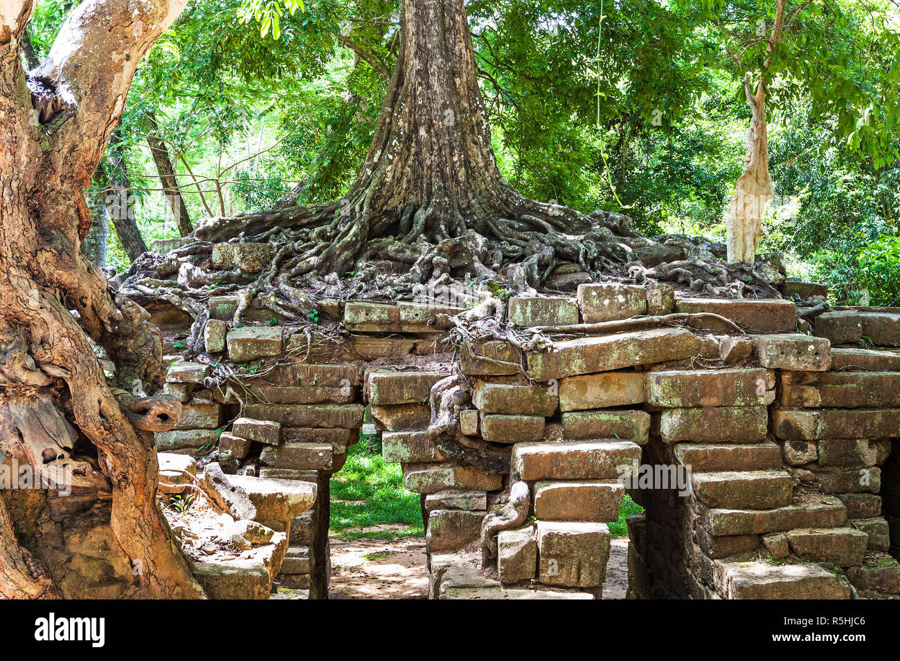 Ta phrom a Angkor Wat,Cambogia Foto Stock