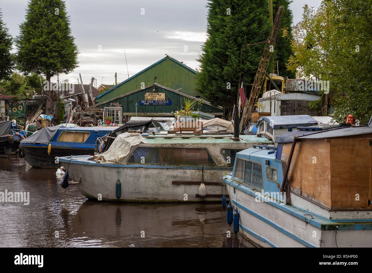 Derelitti battelli a carità Dock sul canale di Coventry, Bedworth, Warwickshire, Inghilterra, Regno Unito (WOP) Foto Stock