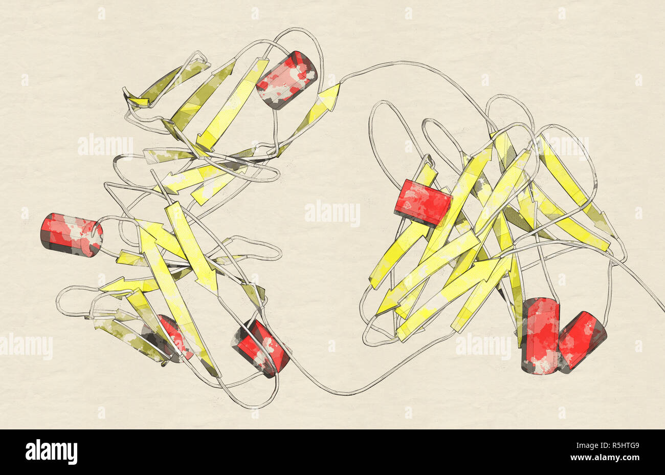 IgG2un anticorpo monoclonale immunoglobulina () - Vista ravvicinata della parte di Fab. Molti farmaci biotech sono anticorpi. 3D rendering basato sulla banca dati di proteine Foto Stock