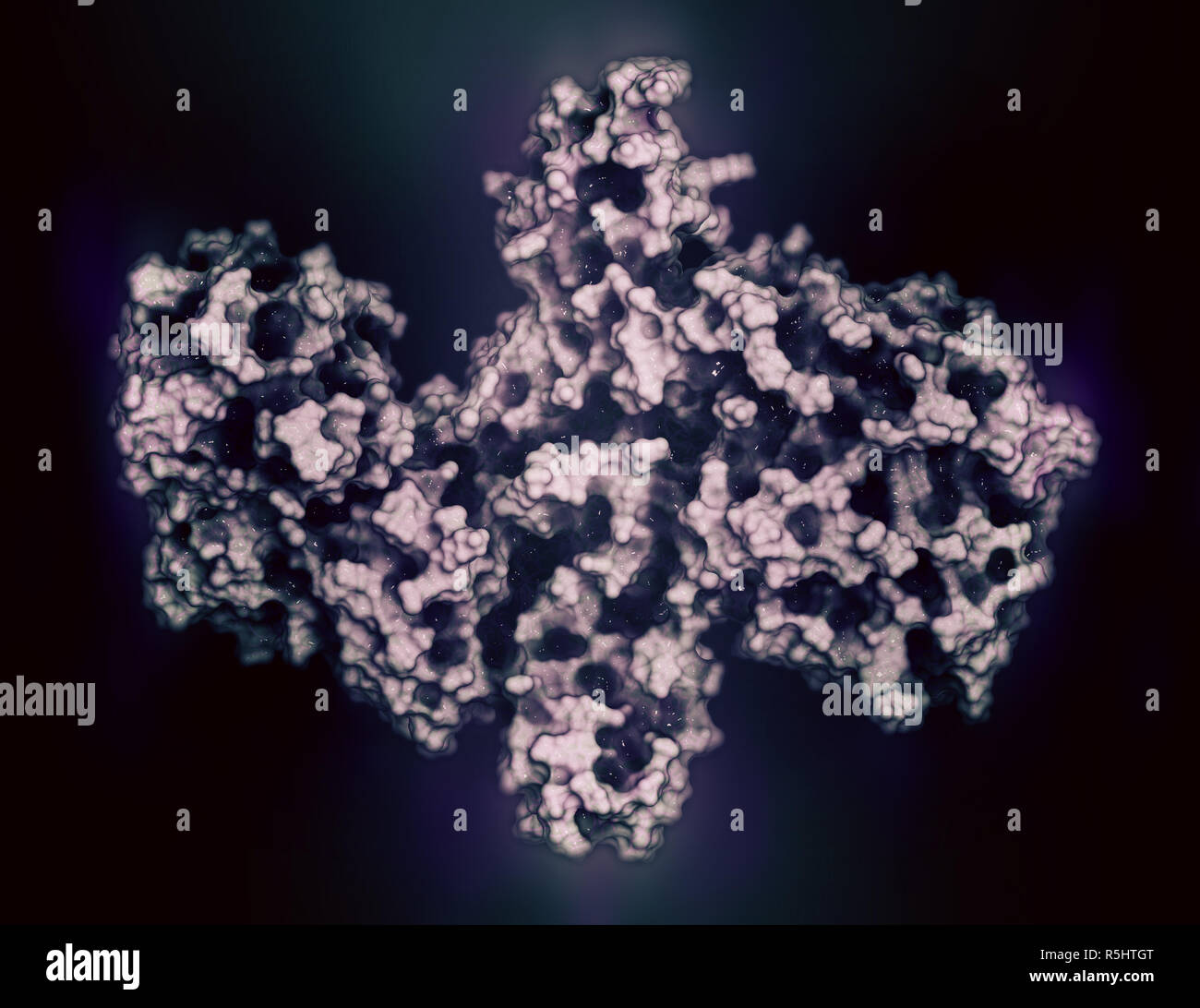 La tossina botulinica proteina neurotossica. Prodotte da Clostridium botulinum. Cosmeticamente usato per il trattamento di rughe. 3D rendering basato sulla banca dati di proteine en Foto Stock