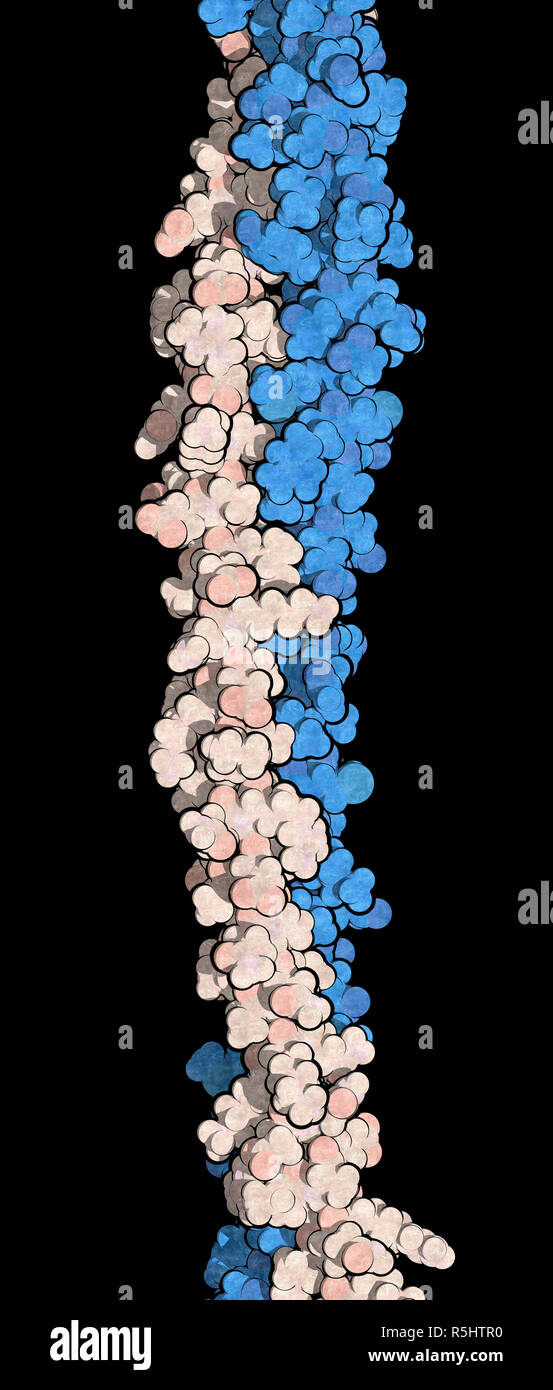 Cheratina di filamento intermedio. Proteina che è uno dei principali  componenti della pelle umana, capelli e unghie. 3D rendering basato su  Protein Data Bank entry Foto stock - Alamy