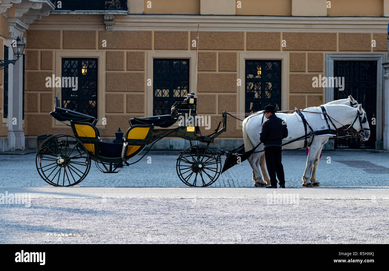 VIENNA, Austria - 20 Ottobre 2018: un tradizionale carrozza trainata da cavalli e il suo proprietario in attesa per la prossima corsa nel parco di Schonbrunn, Vienna, Austria. Foto Stock