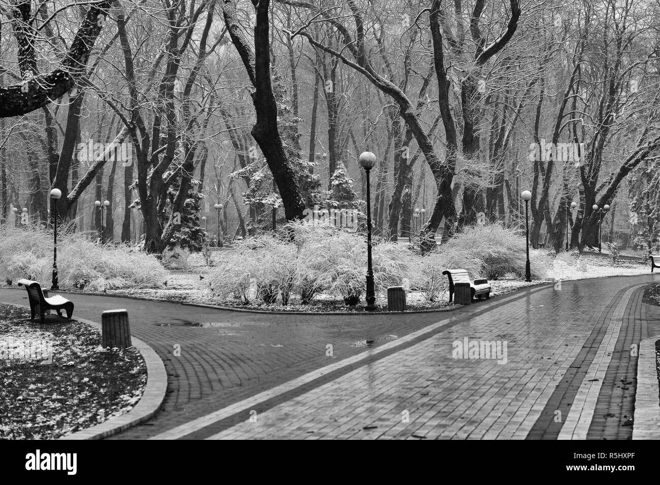 Paesaggio invernale con la caduta di fiocchi di neve - panca coperta di neve tra parco gelido inverno alberi e lanterne di strada. In inverno il paesaggio innevato visualizza Foto Stock