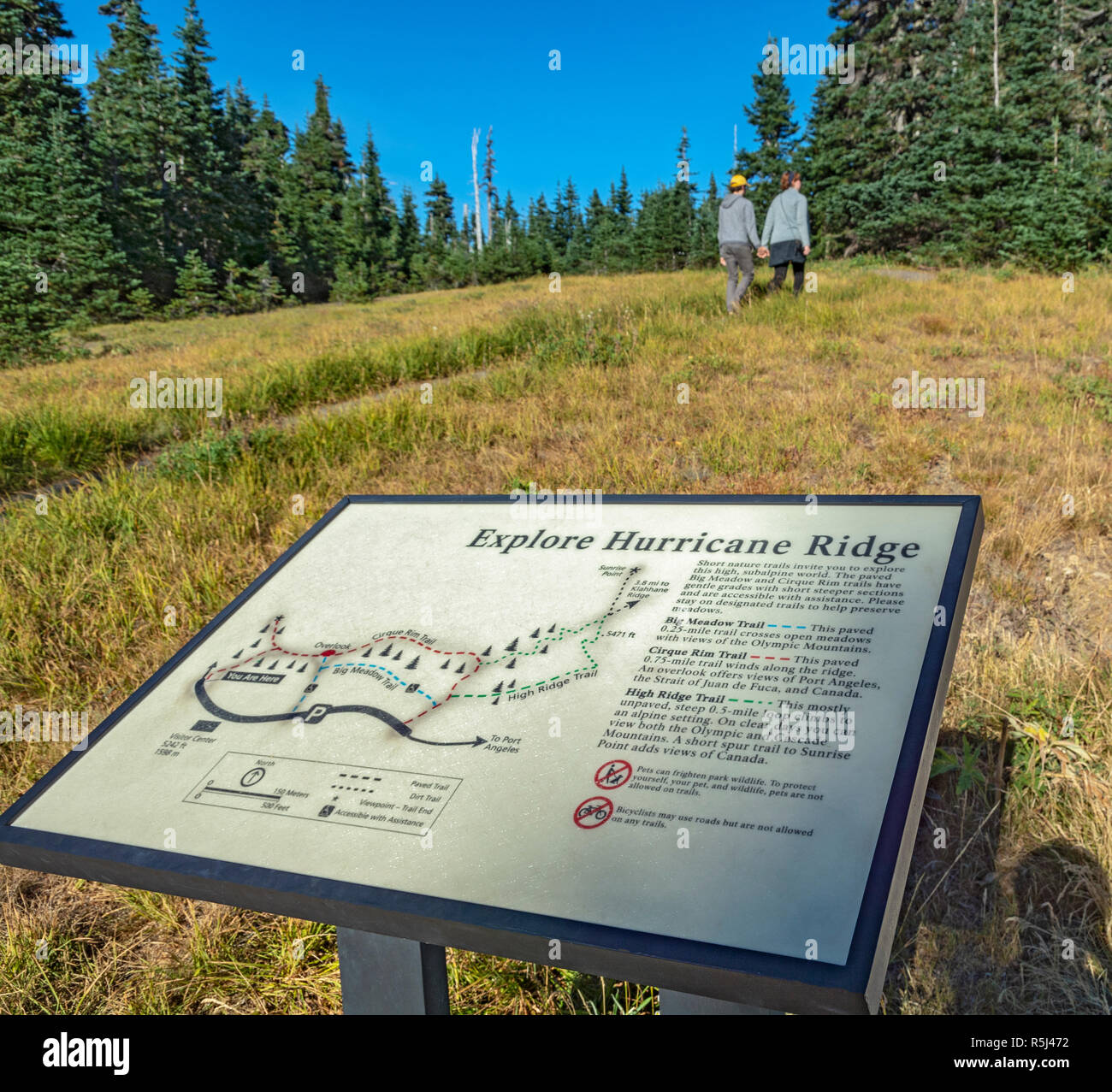 Washington, il Parco Nazionale di Olympic, Hurricane Ridge Trail informazioni segno, giovane sul sentiero Foto Stock
