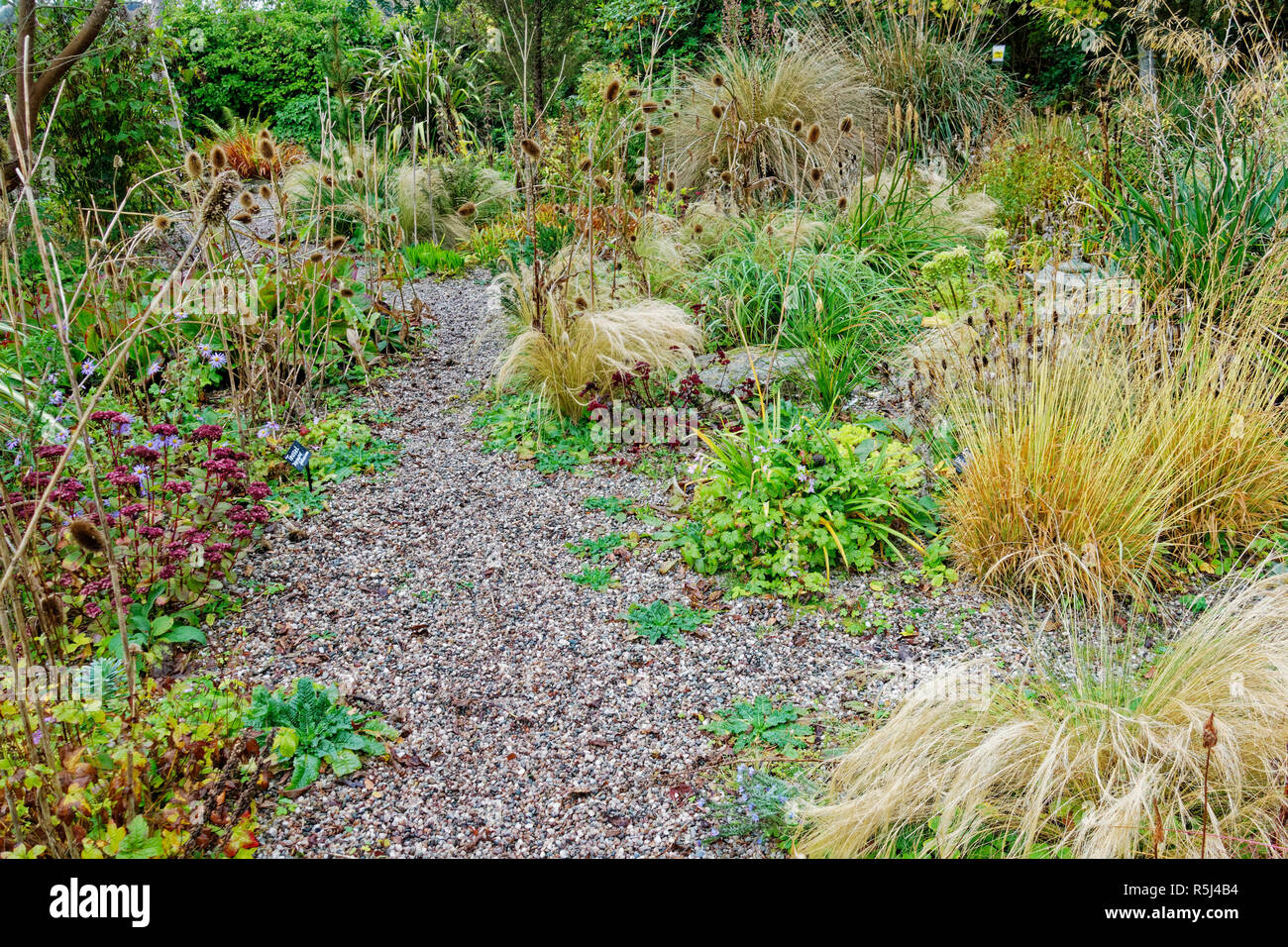 Vista di autunno a Ascog Hall Giardino e Fernery vicino Rothesay in Isle of Bute, Argyll, Scozia. Foto Stock