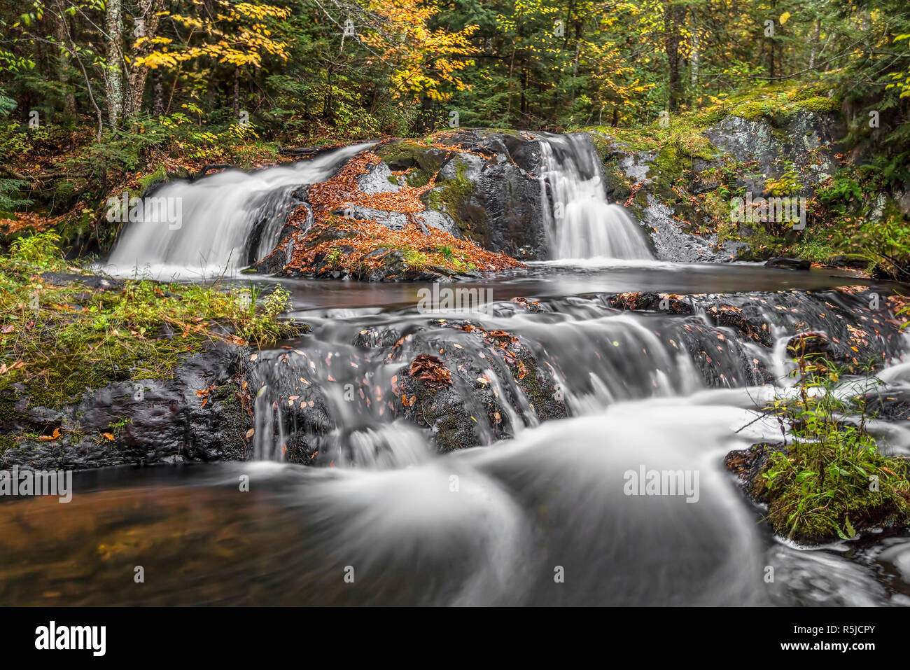 Abbassare Duppy cade fluisce sulle foglie coperte di rocce vulcaniche in un bellissimo remote Legno di autunno del Michigan occidentale della Penisola Superiore. Foto Stock