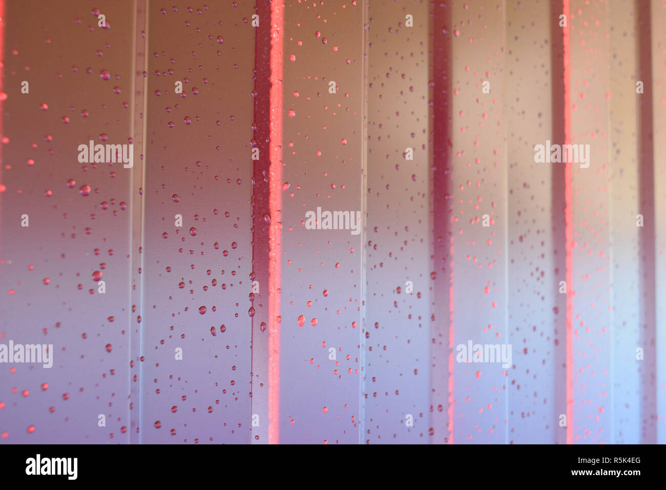 Profilo metallico. Modello diagonale del profilo metallico. Recinzioni dal ferro zincato verniciato da una copertura in materiale polimerico. Foto Stock