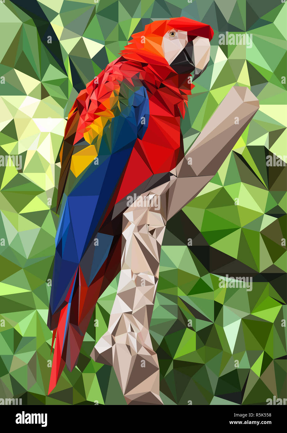 Ara pappagallo bassa poli Foto stock - Alamy