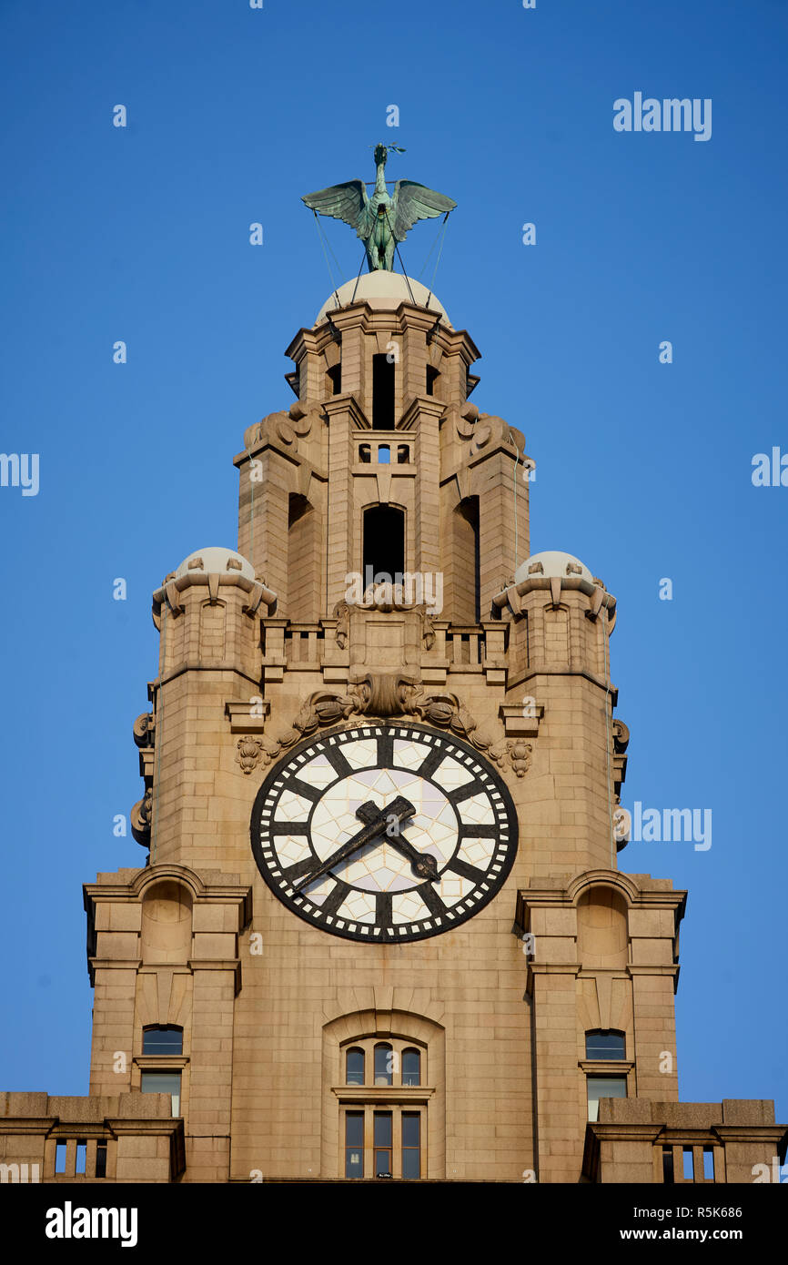 Liverpool Waterfront Royal Liver Building vicino fino alla torre dell'orologio di viso e fegato statua di uccelli Foto Stock