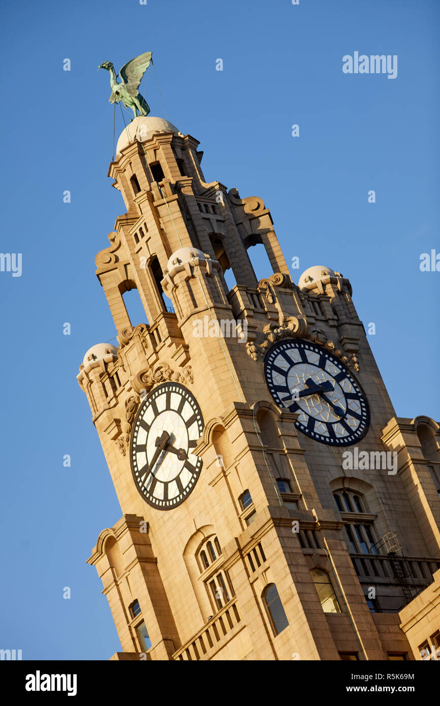 Liverpool Waterfront Royal Liver Building vicino fino alla torre dell'orologio di viso e fegato statua di uccelli Foto Stock