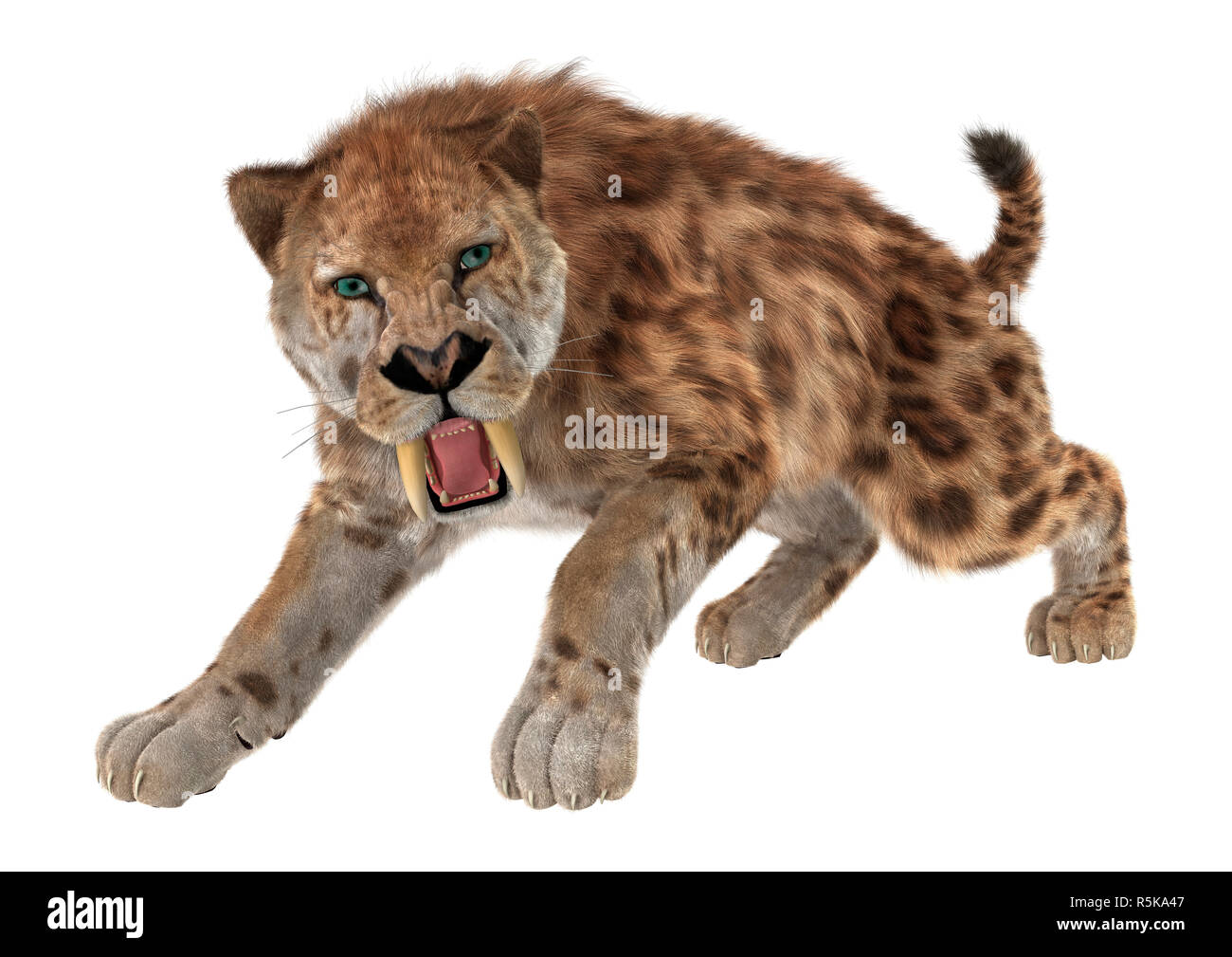 3D Rendering Saber dente tigre su bianco Foto Stock