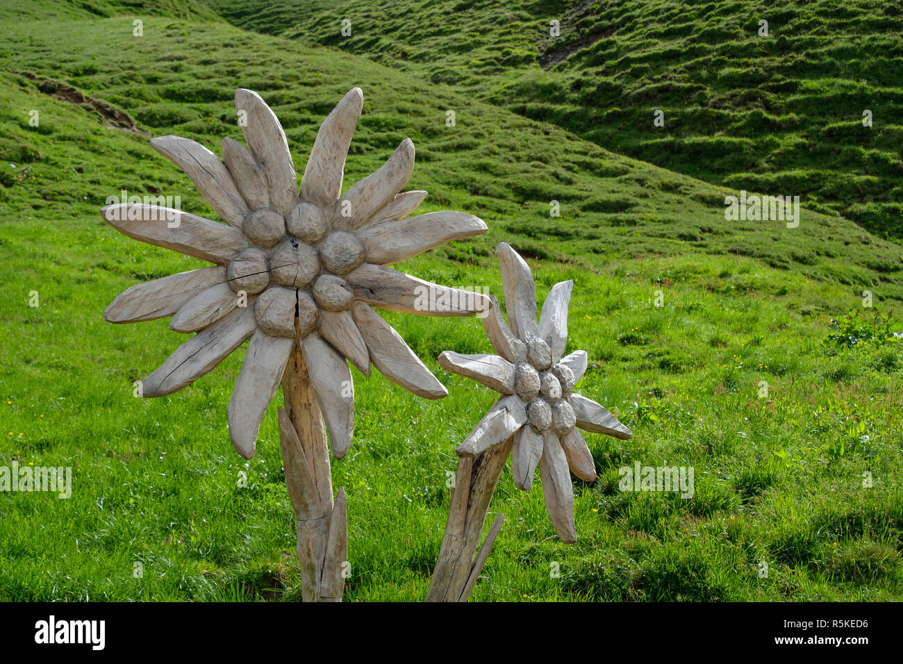 Fiore bianco intagliato intagliato da legno Foto Stock