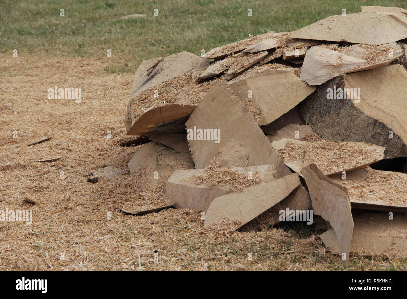 Legno,rifiuti di legno,trucioli di legno Foto Stock