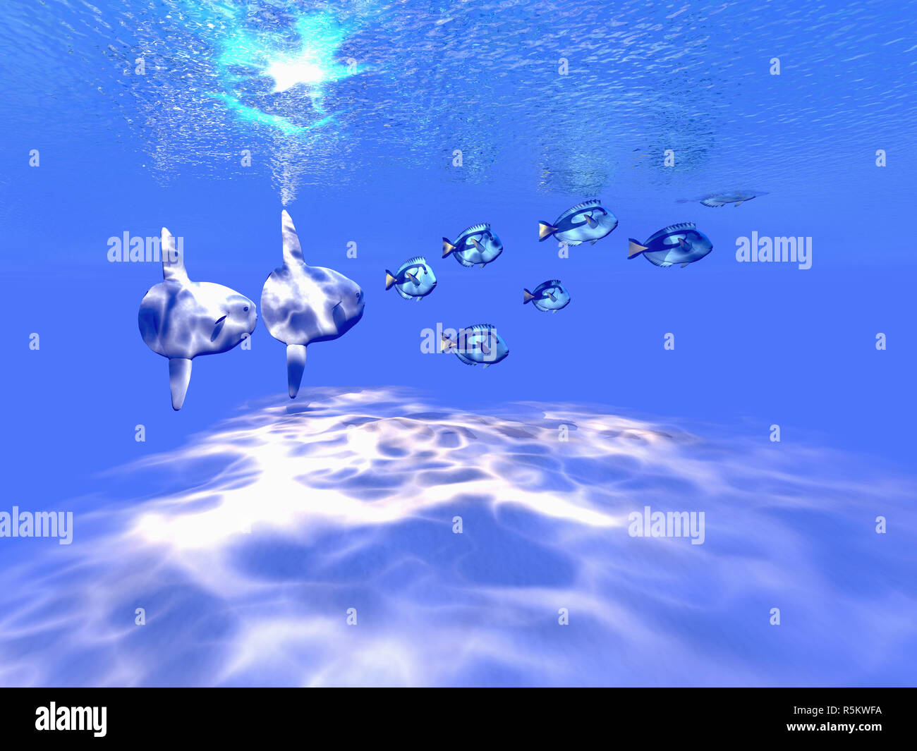 Blue Tango Foto Stock