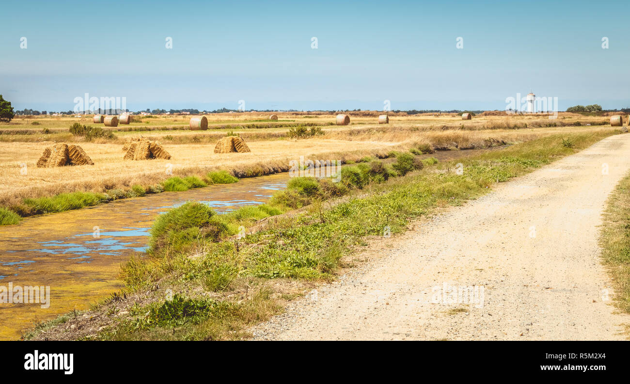 Stivali di paglia pronta per essere prelevata da una strada sterrata Foto Stock