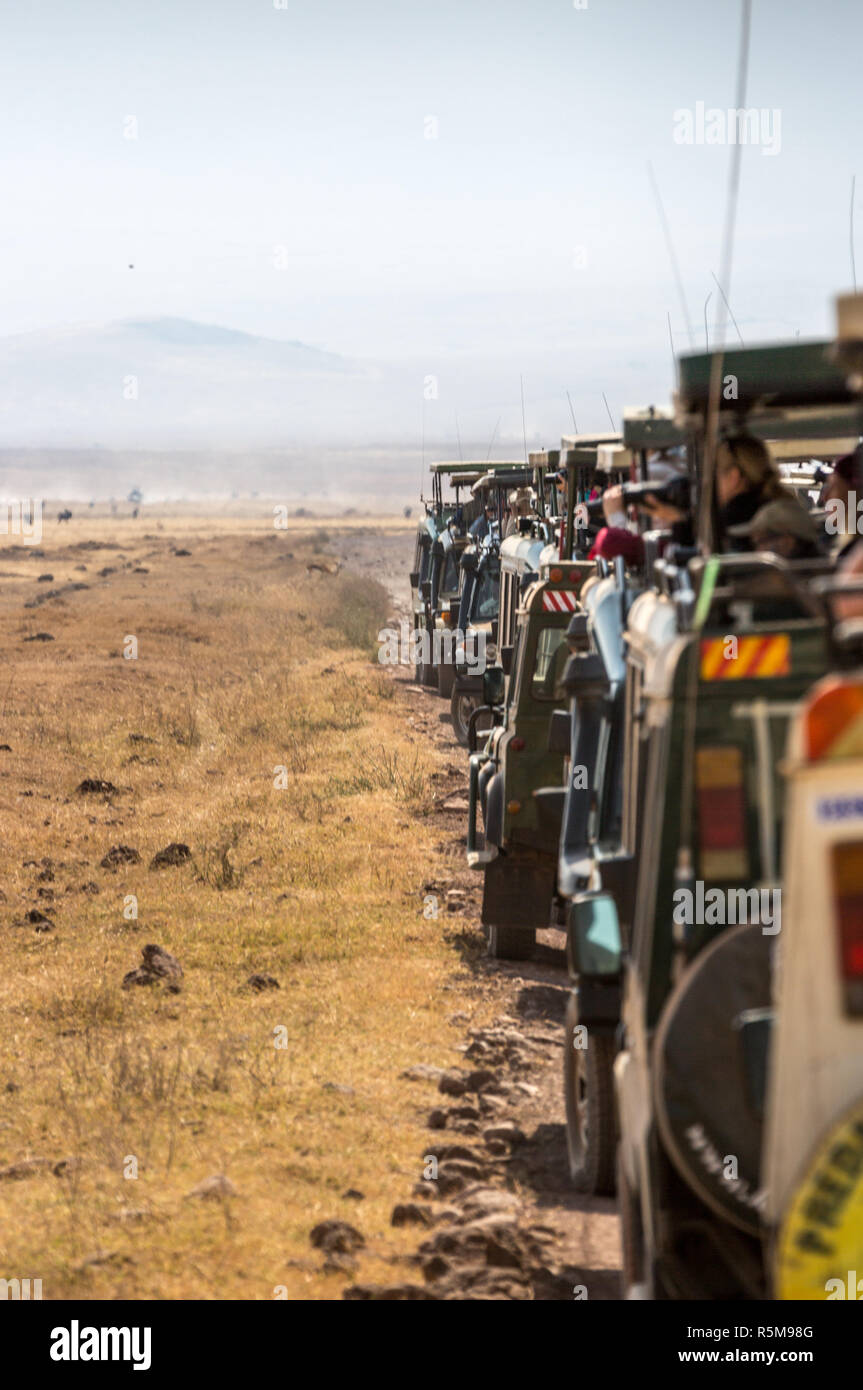Il cratere di Ngorongoro, Tanzania - Fa 23 2015 - Una lunga linea di carrelli di safari con i turisti parcheggio all'interno del cratere di Ngorongoro parco nazionale in Tanzani Foto Stock
