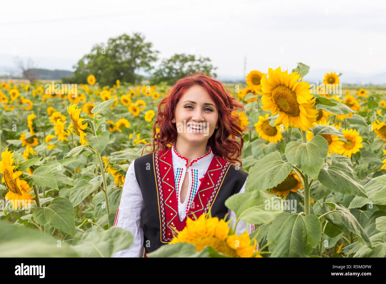 Ragazza in un tradizionale abito bulgaro sentirsi felice in un campo di girasoli Foto Stock