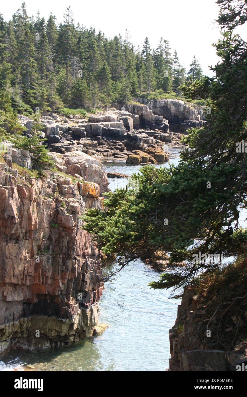 Coste scoscese nel Parco Nazionale di Acadia vicino a Bar Harbor Maine Foto Stock