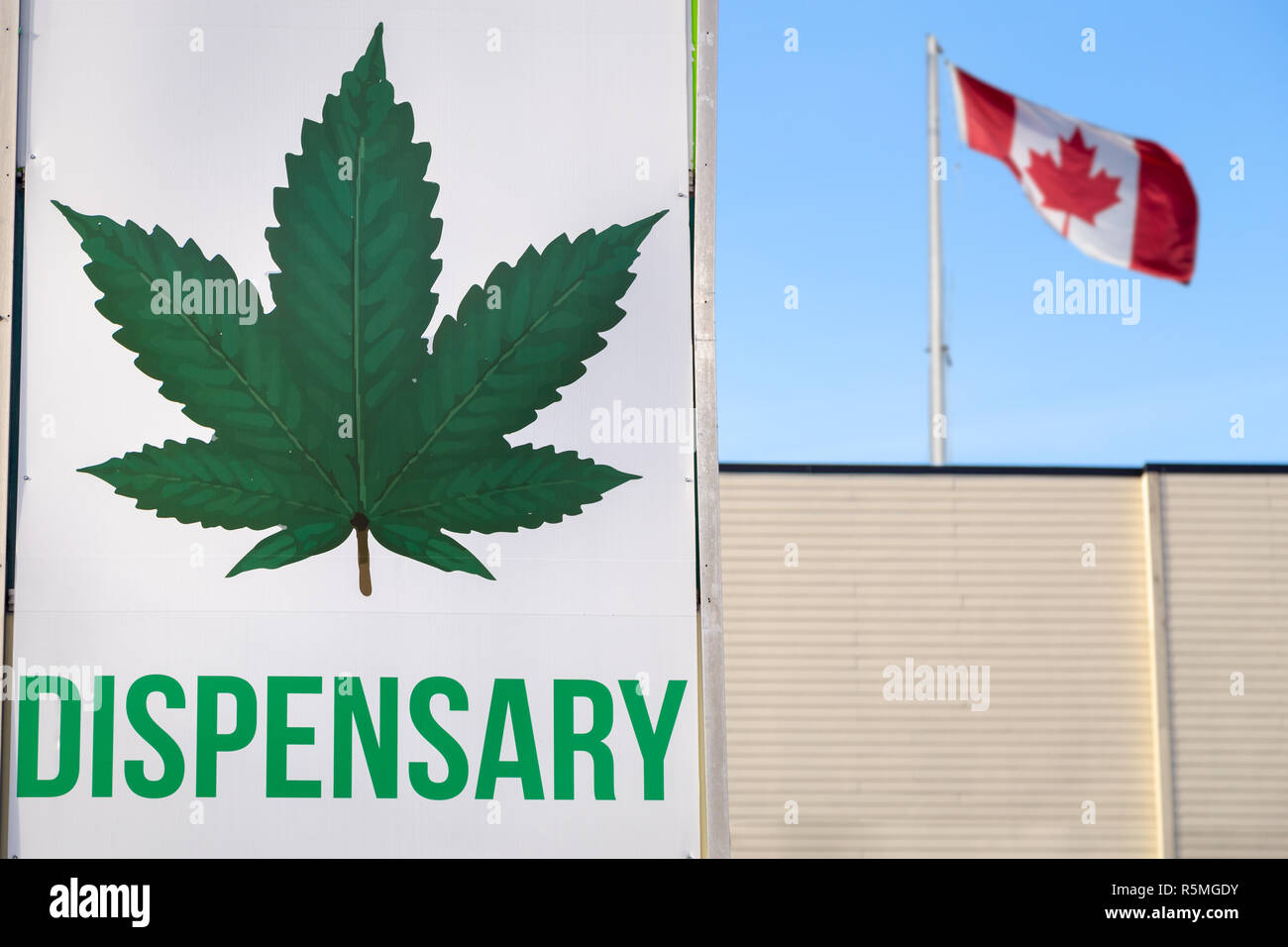 Un dispensario di cannabis segno con una grande foglia di marijuana su di essa e una bandiera canadese in background. Foto Stock