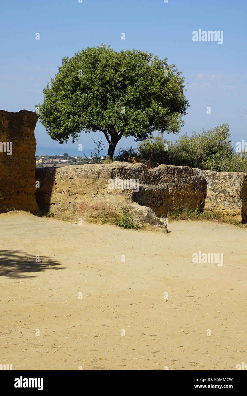 Agrigento,sicilia,nella Valle dei Templi Foto Stock