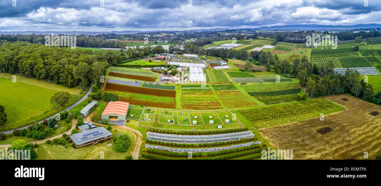 Panoramica aerea di campi agricoli e campagna in Oriente Wandin, Melbourne, Australia Foto Stock