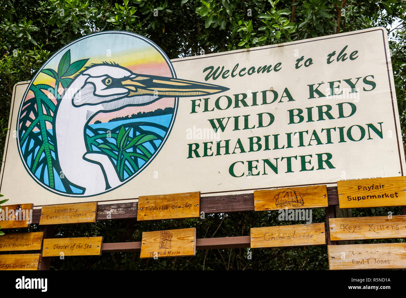 Florida Florida Florida Keys, Tavernier, US Highway Route 1, Overseas Highway, Florida Keys Wild Bird Rehabilitation Center, santuario, salvataggio della fauna selvatica, rifugio, vete Foto Stock