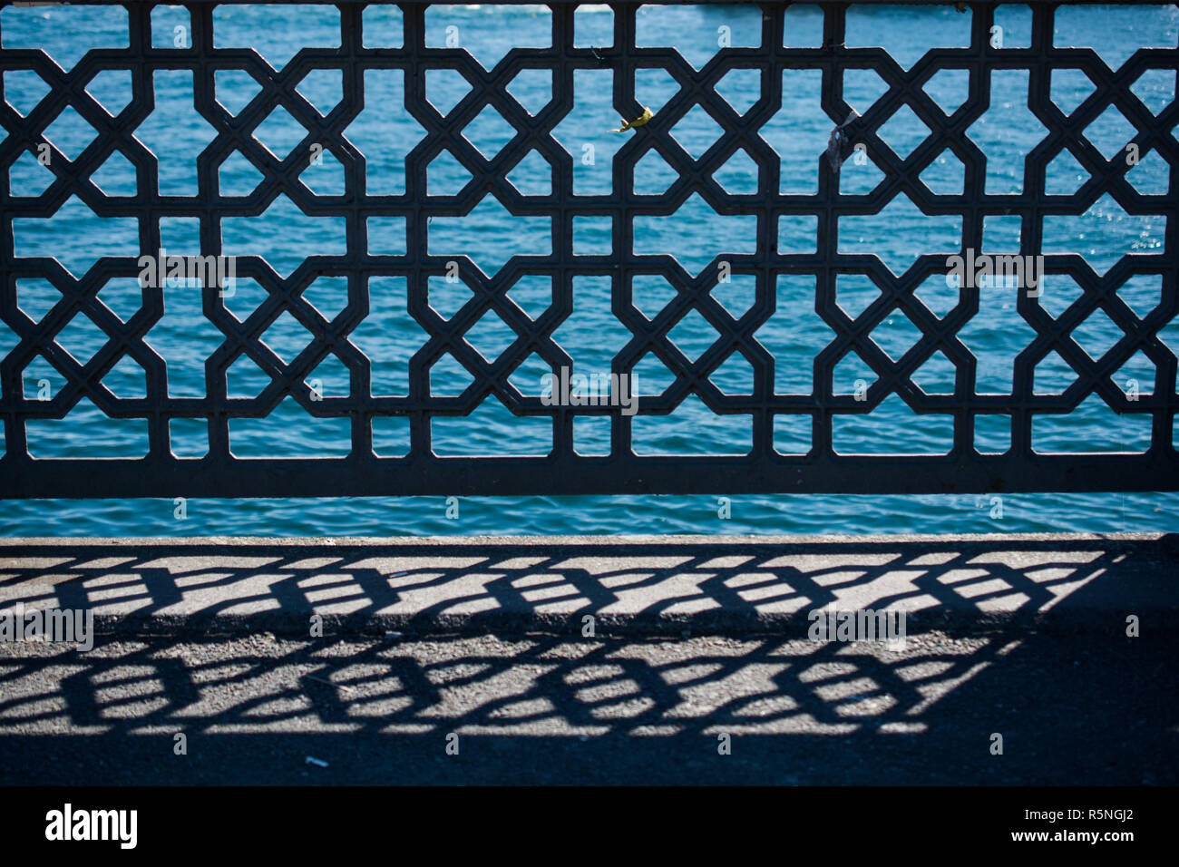 Fiori visti attraverso la forma di cuore Foto Stock