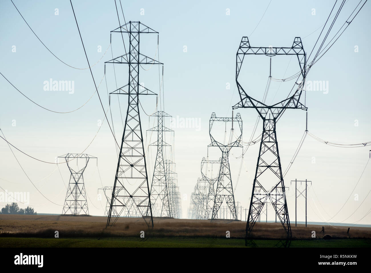 Linee elettriche ad alta tensione in Eastern Washington. Foto Stock