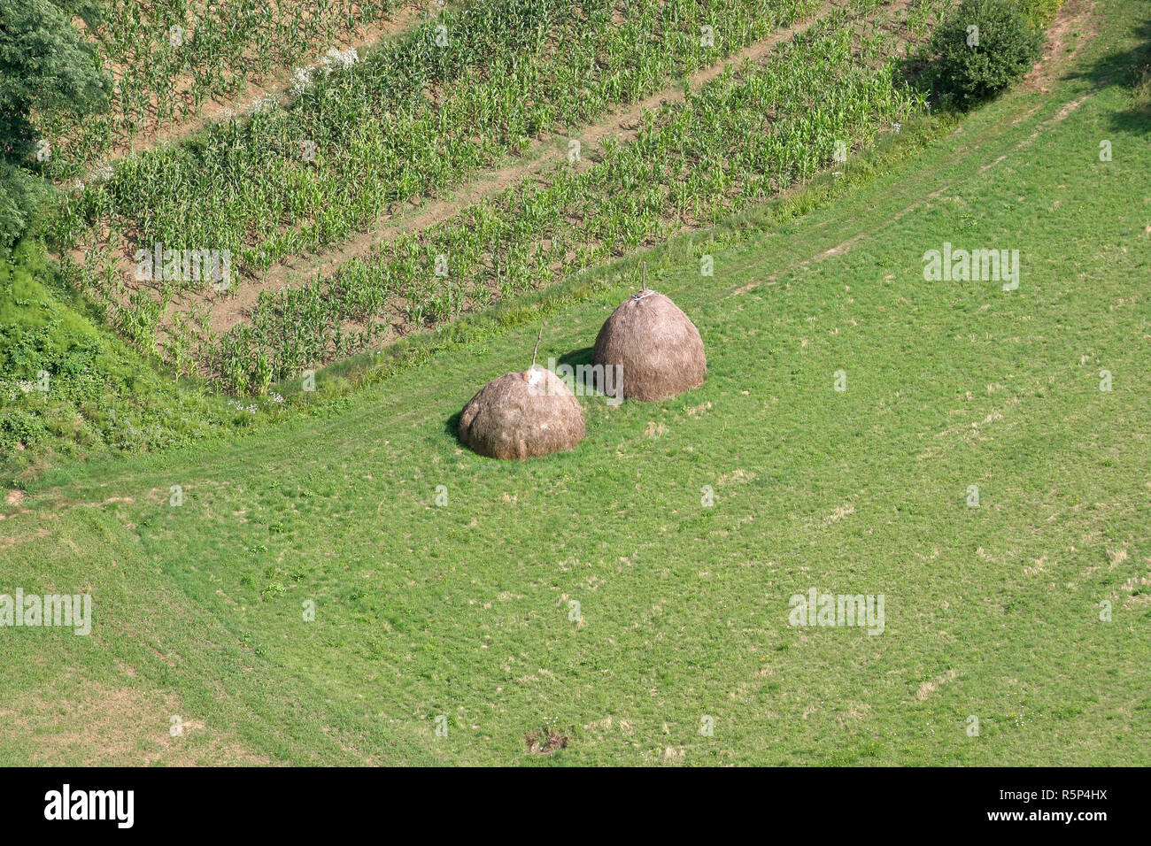 Vista aerea di prati e campi nel nord della Croazia nel periodo estivo, Zdencina, Croazia Foto Stock