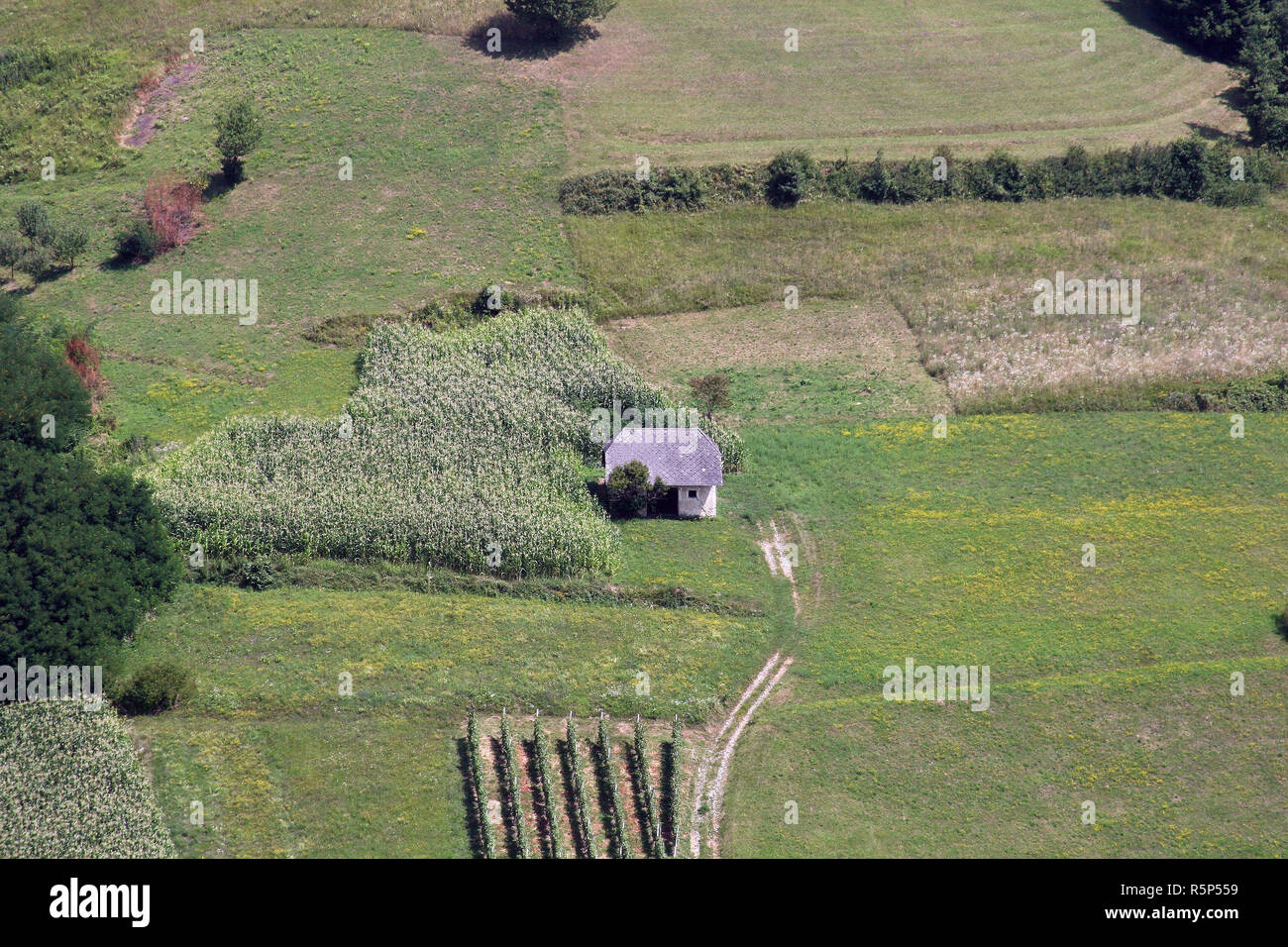 Una vecchia casa colonica in una posizione appartata nel Vukomericke Gorice, Croazia Foto Stock