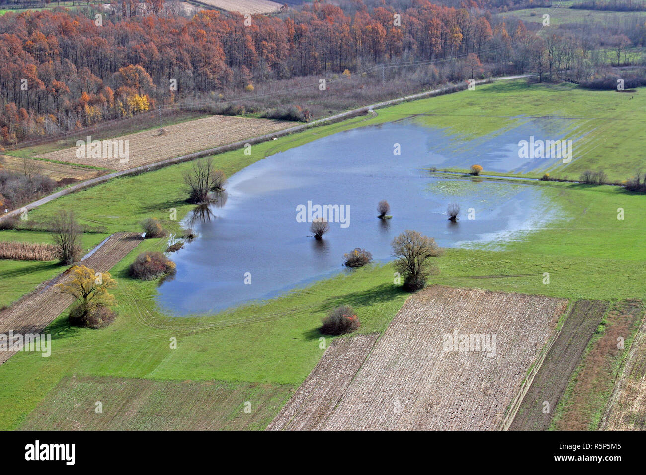 Vista aerea di prati e campi nel nord della Croazia nel periodo estivo, Zdencina, Croazia Foto Stock