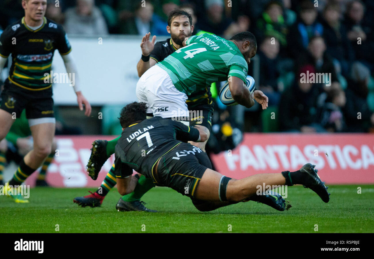 Northampton, Regno Unito. Il 1 dicembre 2018. Ludlam Lewis di Northampton Santi affronta Vereniki Goneva durante la Premiership Gallagher partita di rugby tra Northampton santi e Newcastle Falcons. Andrew Taylor/Alamy Live News Foto Stock