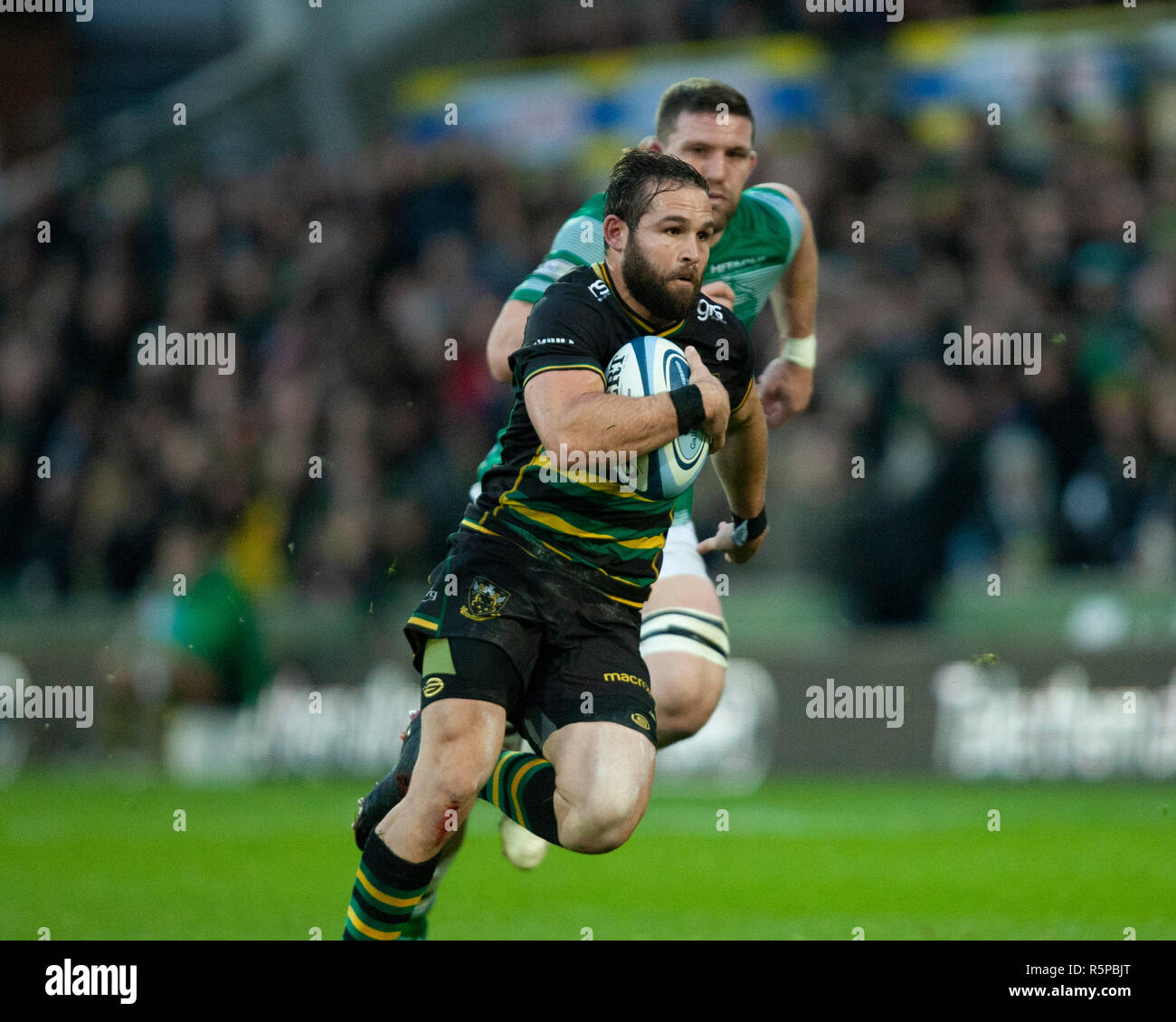 Northampton, Regno Unito. Il 1 dicembre 2018. Cobus Reinach di Northampton Santi corre con la palla durante la Premiership Gallagher partita di rugby tra Northampton santi e Newcastle Falcons. Andrew Taylor/Alamy Live News Foto Stock