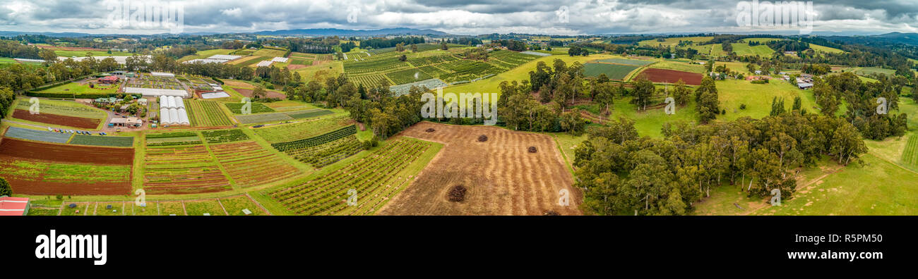 Antenna di ampio panorama di campi, prati e pascoli - bellissimo paesaggio di laminazione Foto Stock