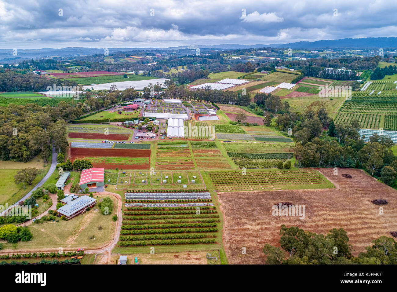 Aziende agricole di ciliegio nel paesaggio di campagna Foto Stock